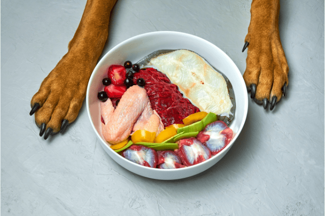 Best fresh dog food uses high-quality ingredients