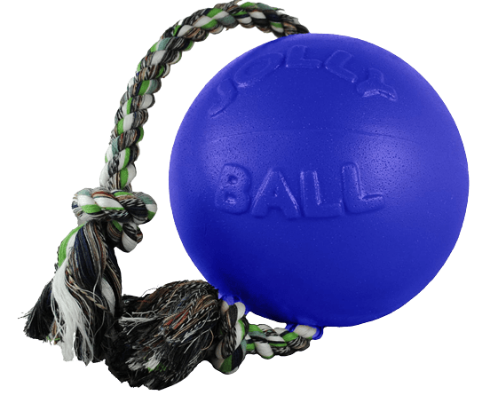 Race&Herd Herding Ball for Dogs Blue Heelers Puppies and Small Dogs, Dog  Ball & Ball Cover -18 Ball for Dog Small with Hand Pump | Dog Balls for  Play